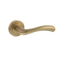 STATUS Texas Lever Door Handle on Round Rose - Satin Brass - S35RSB - Choice Handles