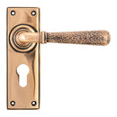 From The Anvil - Hammered Newbury Lever Euro Lock Set - Polished Bronze - 46228 - Choice Handles