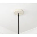 From The Anvil - Smooth Brass Frankley Pendant in Teasel - Smooth Brass  - 49722STE - Choice Handles