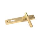 From The Anvil - Satin Brass Brompton Slimline Lever Espag. Lock Set - Satin Brass  - 50841 - Choice Handles