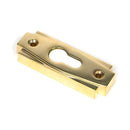 From The Anvil - Polished Brass Art Deco Euro Escutcheon - Polished Brass  - 51197 - Choice Handles
