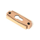 From The Anvil - Polished Bronze Art Deco Euro Escutcheon - Polished Bronze  - 51202 - Choice Handles