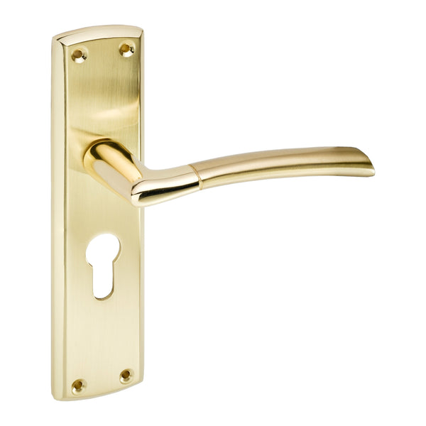 Eclipse - Tifosi Lever Bathroom Door Handle on Backplate Set -  Polished Brass / Satin Brass -  63151 - Choice Handles