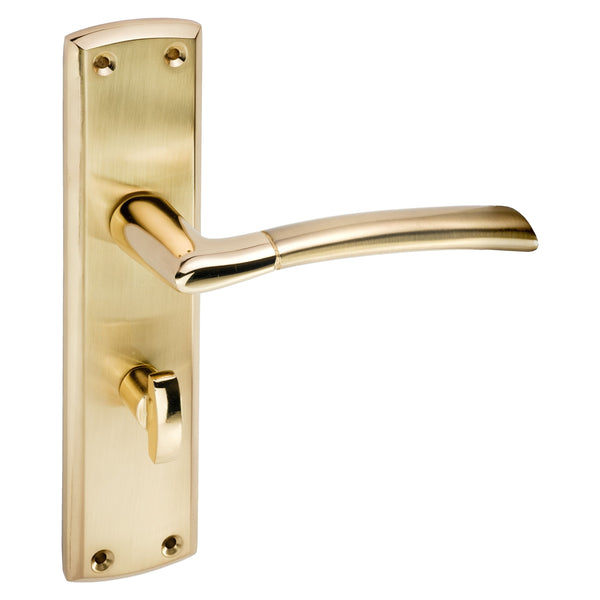 Eclipse - Tifosi Euro Profile Lever Door Handle on Backplate Set -  Polished Brass / Satin Brass -  63152 - Choice Handles