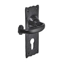 Spira Brass - Burford Lever Euro Cylinder Handles - Black - BR4002 - Choice Handles