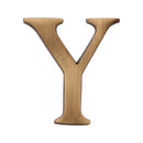 Heritage Brass Alphabet Y Rear Fix 51mm (2") Antique finish - C1565 2 Y-AT - Choice Handles