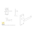 Carlisle Brass - Contract Victorian Lever on Latch Backplate - Polished Brass - CBV31 - Choice Handles