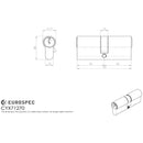 Eurospec - Mpx6 Euro Double Cylinder 70mm Ktd - Polished Brass - CYX71270PB - Choice Handles