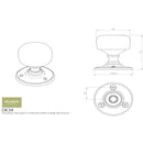 Carlisle Brass - Delamain Porcelain Knob - Ivory crackle / Florentine bronze - DK34ICFB - Choice Handles