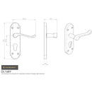 Carlisle Brass - Oakley Lever on Euro Lock Backplate - Polished Brass - DL168Y - Choice Handles