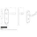 Manital - Ibra Lever on Lock Backplate - Polished Brass - EL11 - Choice Handles