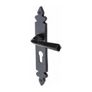 Ironbridge Euro Profile Plate
 - FB3648 - Choice Handles