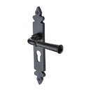 Ludlow Euro Profile Plate
 - FB5848 - Choice Handles