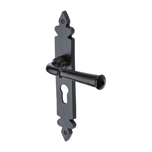 Ludlow Euro Profile Plate
 - FB5848 - Choice Handles