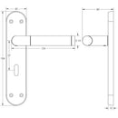 Frelan - Twin Door Handles On Backplate - Euro Profile - Dual Finish - Polished Chrome & Satin Chrome - JV436EPCSC - Choice Handles