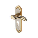 Heritage Brass Door Handle for Euro Profile Plate Lisboa Design Jupiter finish - MM994.48-JP - Choice Handles