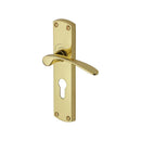 Project Hardware Door Handle for Euro Profile Plate Luca Design Polished Brass finish - PR448-PB - Choice Handles