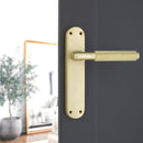 Spira Brass - Connaught Knurled Lever on Backplate Latch  - Satin Brass - SB1404SB - Choice Handles