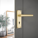 Spira Brass - Jura Lever on Backplate Lock Satin Brass - SB1409SB - Choice Handles
