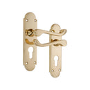 Spira Brass - Oakley Lever on Backplate Euro Polished Brass - SB1424PB - Choice Handles