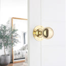 Spira Brass - Ball Door Knob  - Polished Brass - SB2102PB - Choice Handles