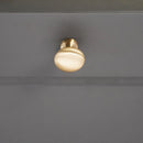 Spira Brass - Mushroom 25mm Cupboard Knob  - Satin Brass - SB2329SB - Choice Handles