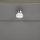 Spira Brass - Mushroom 25mm Cupboard Knob  - Satin Chrome - SB2329SC - Choice Handles