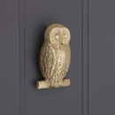 Spira Brass - Owl Door Knocker  - Satin Brass - SB4109SB - Choice Handles