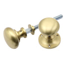 Prima - Mushroom Rim Door Knob - Satin Brass - SB437