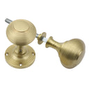 Prima - Reeded Rim Door Knob - Satin Brass - SB439