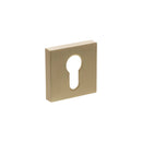 Senza Pari Euro Escutcheons on Minimal Square Rose - Satin Brass - SPESCESB - Choice Handles