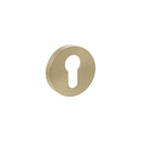Senza Pari Euro Escutcheons on Minimal Round Rose - Satin Brass - SPRESCESB - Choice Handles