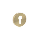 Senza Pari Euro Escutcheons on Round Rose - Satin Brass - SPROESCESB - Choice Handles