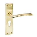 Eclipse Polished Brass / Satin Brass Tifosi Euro Profile Euro Profile Lever on Backplate Door Handle Pair on Backplate