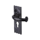 The Tudor Door Handle for Euro Profile Plate Colonial Design Black Iron - TC348 - Choice Handles