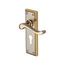 Heritage Brass Door Handle for Euro Profile Plate Edwardian Design Jupiter finish - W3227.48-JP - Choice Handles