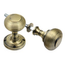 Prima - Reeded Rim Door Knob - Antique Brass - XL439