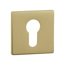 Tupai Exclusivo 5S Line Euro Escutcheons on 5mm Slimline Square Rose - Raw Brass - XTESCES5SRB - Choice Handles