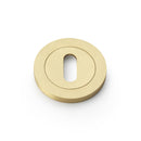 Alexander and Wilks - Concealed Fix Escutcheon Standard Profile - Satin Brass - AW391SB - Choice Handles