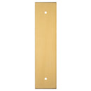 Carlisle Brass - 168 X 40mm Square Cabinet Hardware Backplate 128mm C/C - Satin Brass - BP168SB - Choice Handles