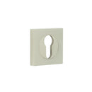 Burlington - Euro Profile Escutcheons Square Plain Rose - Satin Nickel - BUR-61SN-171SN - Choice Handles