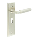Burlington - Piccadilly Door Handle On Euro Backplate - Satin Nickel - BUR40KIT323 - Choice Handles