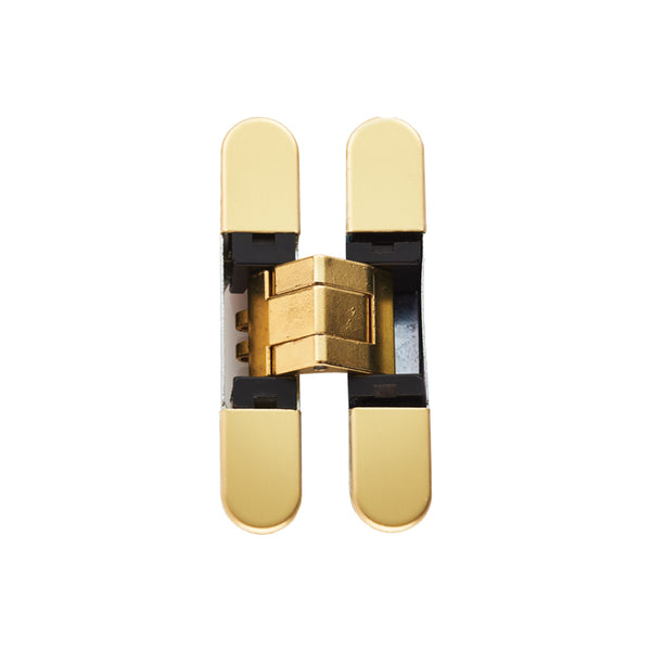 Eurospec - Ceam 3d Concealed Hinge 929 - Brass Plated - CI000929OTT00