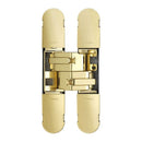 Eurospec - Ceam 3D Concealed Hinge 1131 - Brass Plated - CI001131OTT00 - Choice Handles