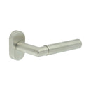 CR-102 Satin Stainless Steel Multi Point Oval Rose Door Handle - CR-102C4SSS - Choice Handles