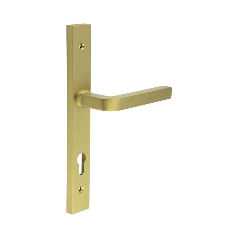 CR-104 Satin Brass Multi Point Backplate Door Handle - CR-104G4SB