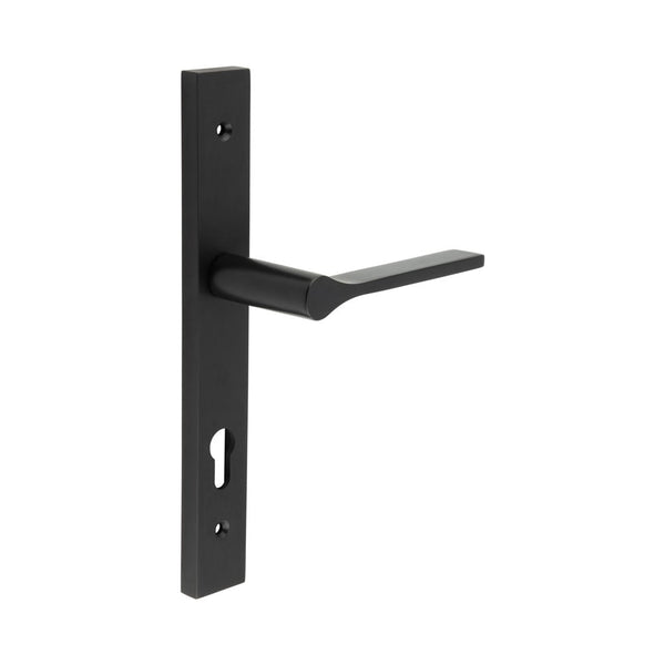 CR-105 Black Multi Point Backplate Door Handle - CR-105G4MB