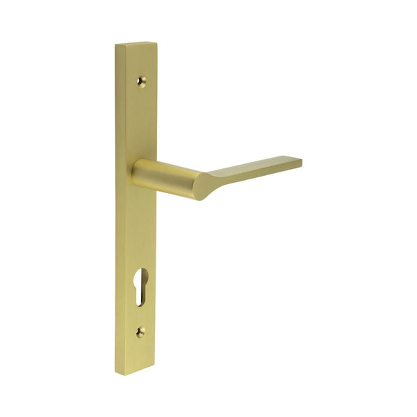 CR-105 Satin Brass Multi Point Backplate Door Handle - CR-105G4SB