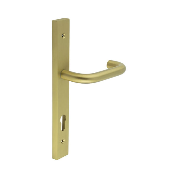 CR-106 Satin Brass Multi Point Backplate Door Handle - CR-106G4SB