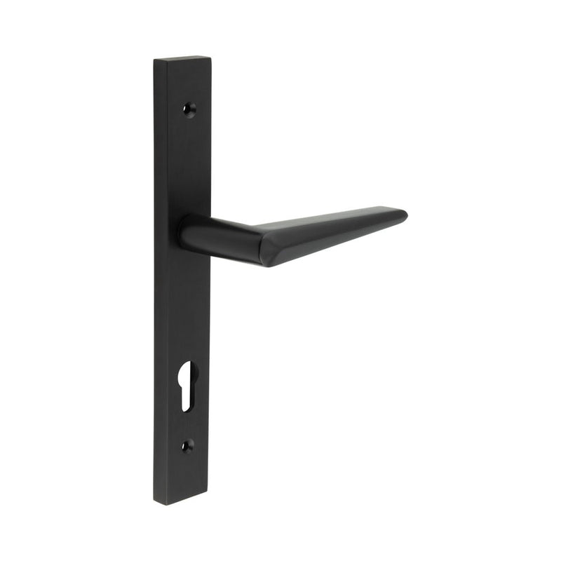 CR-107 Black Multi Point Backplate Door Handle - CR-107G4MB